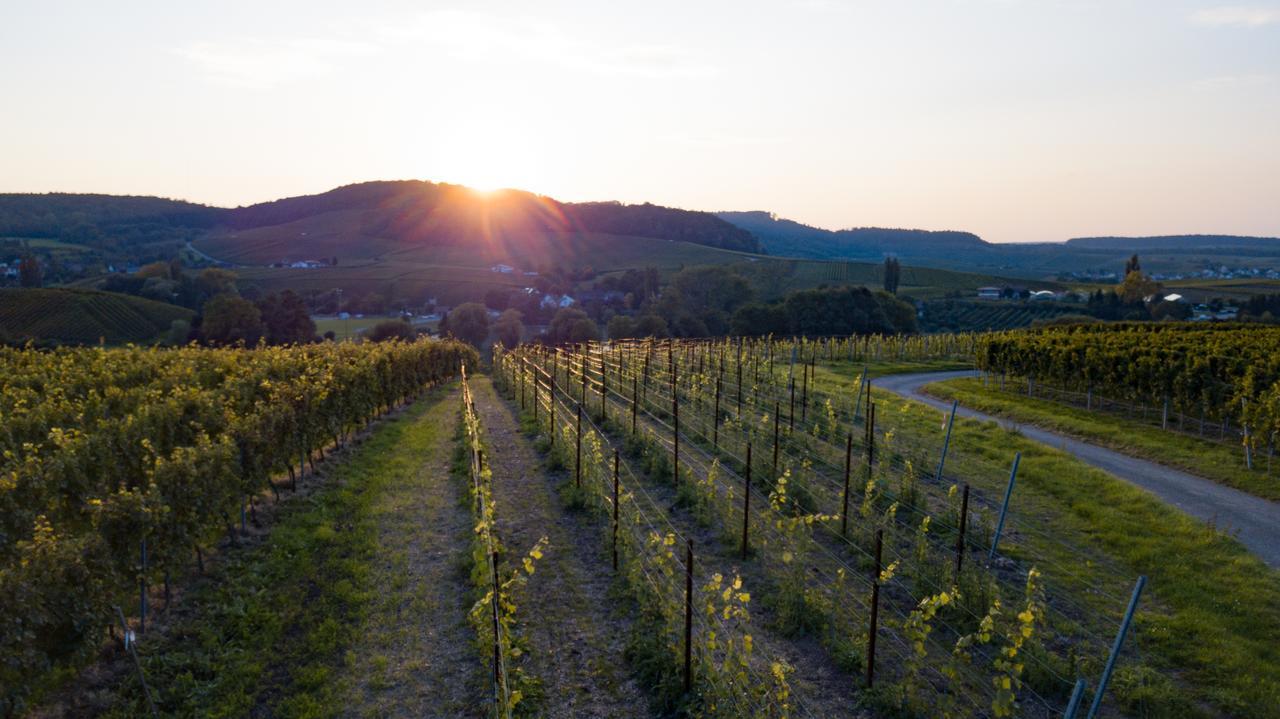 Pension Breitenauer See Hosslinsulz ภายนอก รูปภาพ